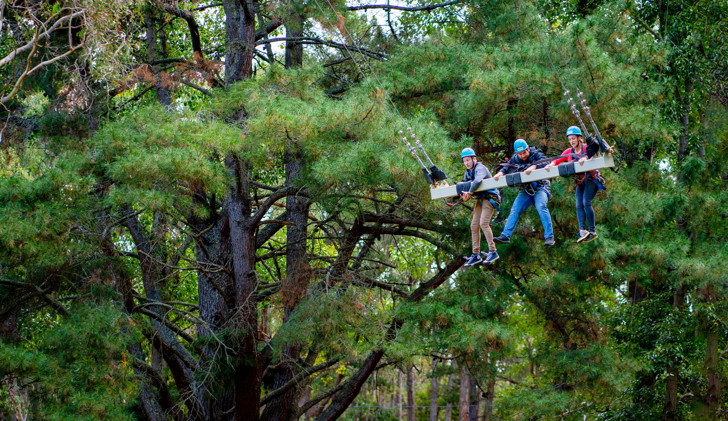 Rock Climb, Zipline and Mega Swing Experience Wellness Wander