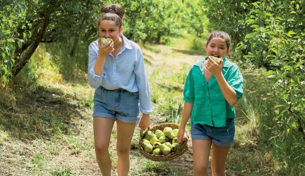 Picnic in the pear trees